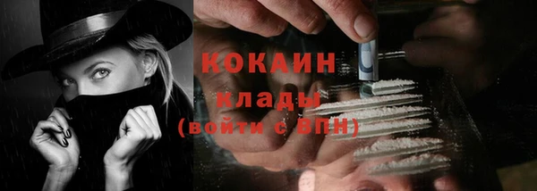 стафф Богородицк