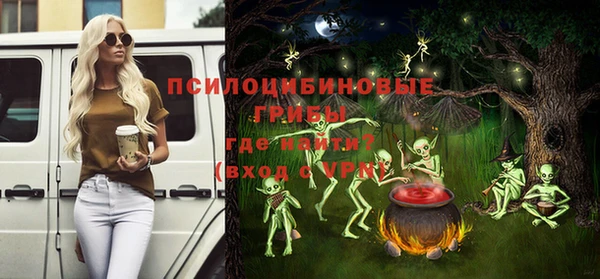a pvp Белокуриха