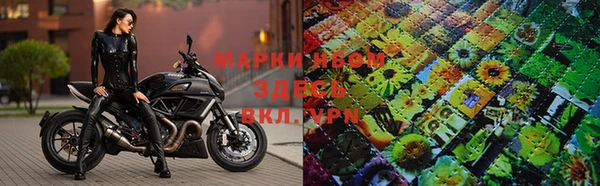 ГАЛЛЮЦИНОГЕННЫЕ ГРИБЫ Белоозёрский