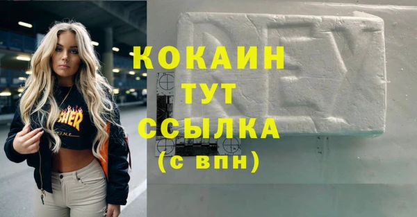 прущие грибы Бородино