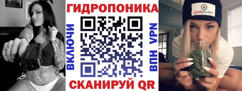 Конопля план  купить  сайты  Сланцы 
